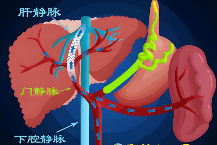 关于摩纳哥目前举步维艰，面临保级压力的信息  第1张